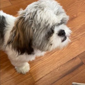 Meet your Posher, Sharon